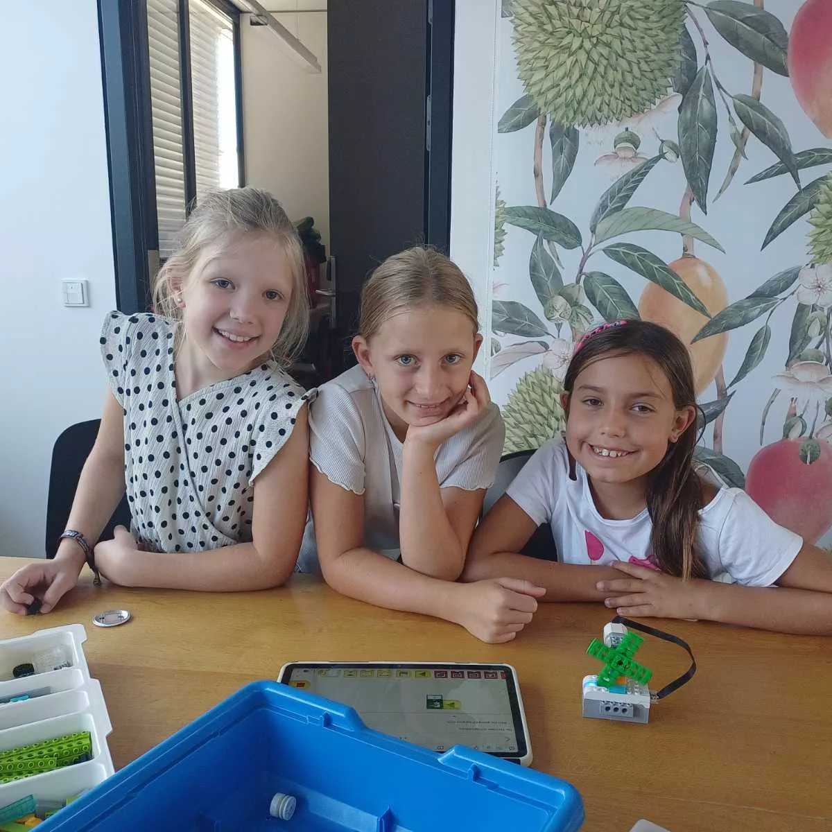 Educational Summer Lab MINT-Workshop