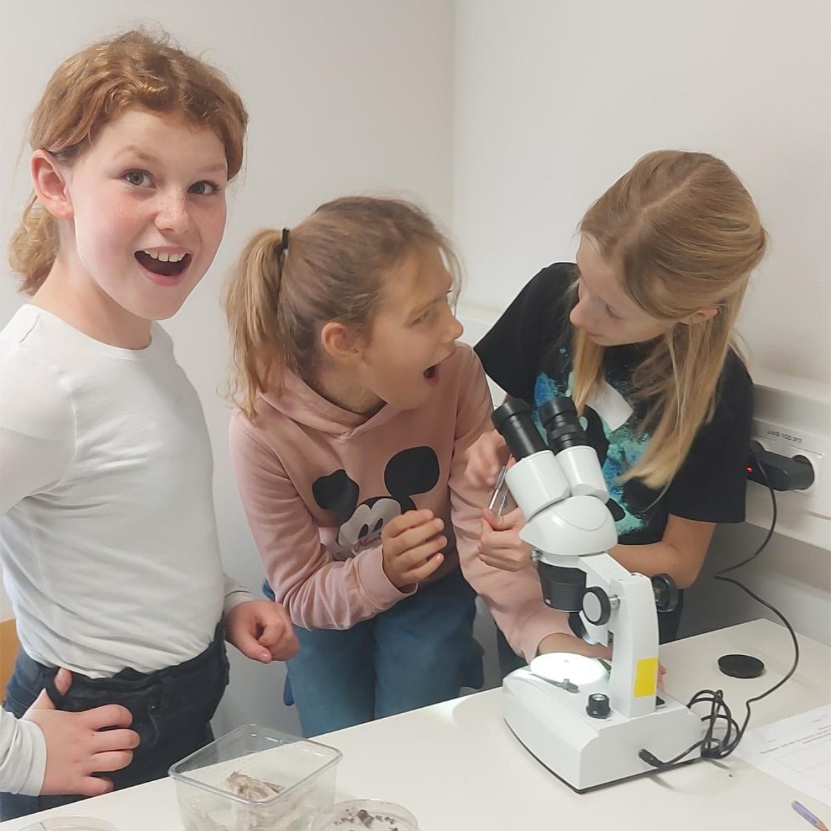 Girls' Day in Kärnten - Workshop