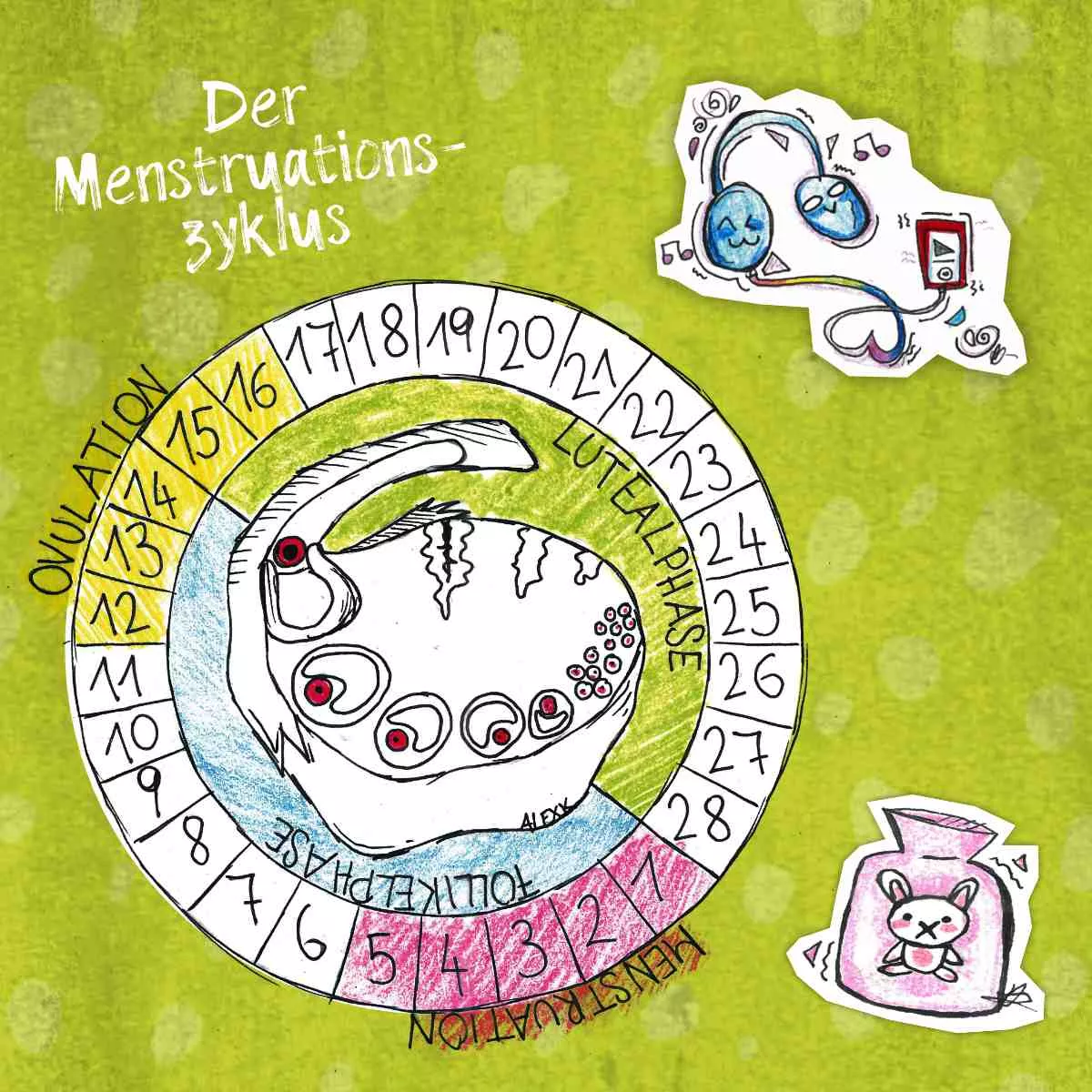 Zyklusbooklet_Zyklus